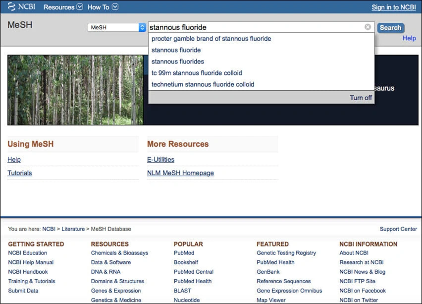 Image: MeSH Database search page.